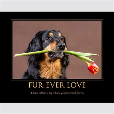 Fur-ever Love Personalized Dog Print with Quote - myDaVinci